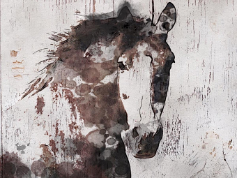 Rustic Horses - Farmhouse Art