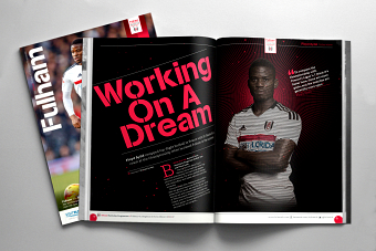 Fulham Vs Brighton & Hove Albion