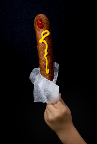 What We Ate at the State Fair