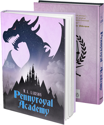 Book sleeve design