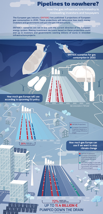 Infographic