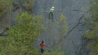 The Climb