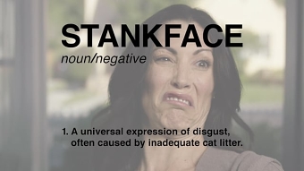 John Poliquin: Tidy Cats "Stankface Defined"