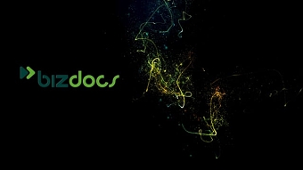 Bizdocs