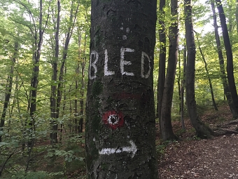 Bled