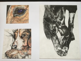 Illustrations