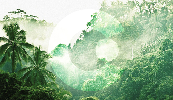 ClientEarth Identity & Annual Report