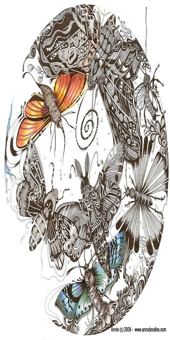 Ann Marie Portfolio