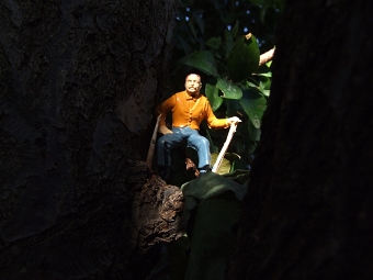 Miniatures in Action