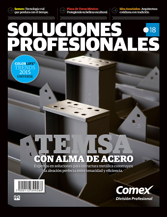 Soluciones Profesionales / PPG Comex