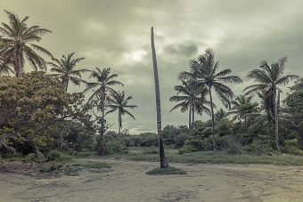 Richard Wadey - St Lucia