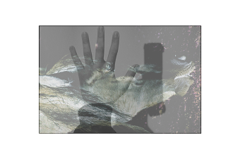 Hands We Shake 2