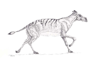 Pre-historic mammals