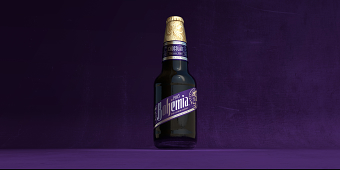 Bohemia Beer