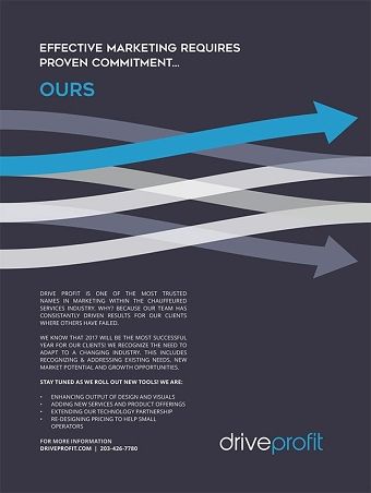 DriveProfit Branding