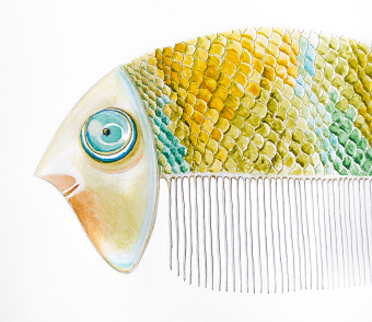Typical fish