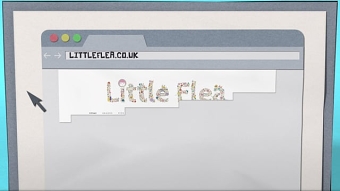 Little flea magazine and directory