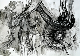 Dandelions