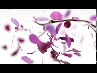 Soft & Gentle: Antiperspirant TVC