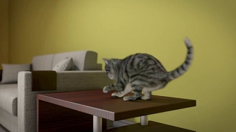 Realistic 3D cat animation study