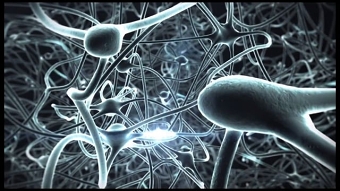 Gene to Brain