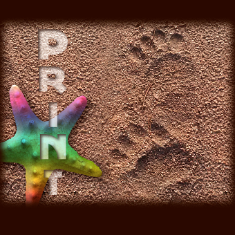 Print Design