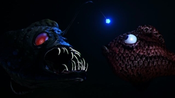 Big Trouble in Little Ocean