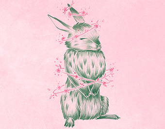Easter Bunnies