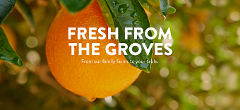 Sunkist | Website Redesign