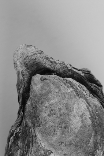 Ordinary Obscurities