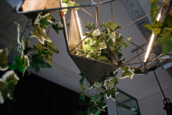 Scaffold Tree Chandeliers