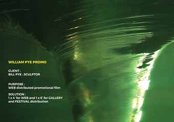 WILLIAM PYE WEB PROMO