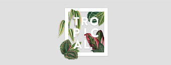 Jungle Brand