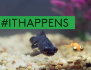 #ItHappens