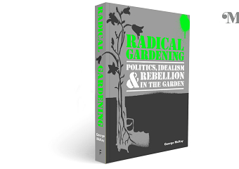 Book Design