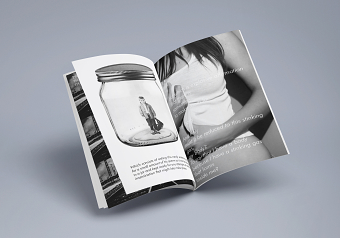 The Monobook