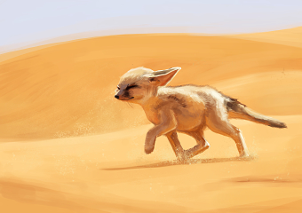 Digital Paintings
