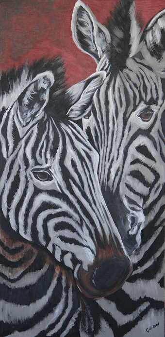 Zebras - 50!!!