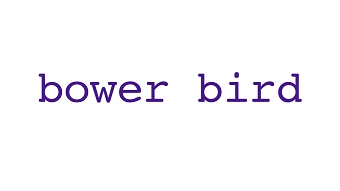 Bower Bird