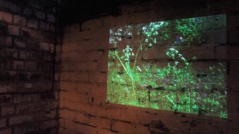 Poetic Interpretation (Film)