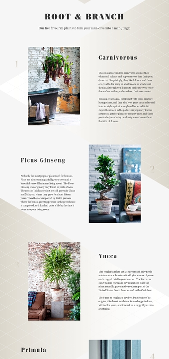 The Joy of Plants
