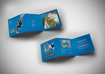 Tri Fold Flyer