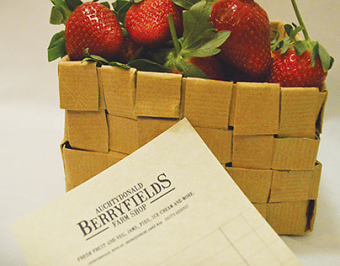 Berryfields Rebrand