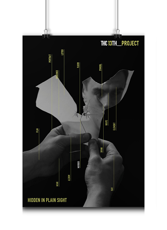 THE_13TH PROJECT