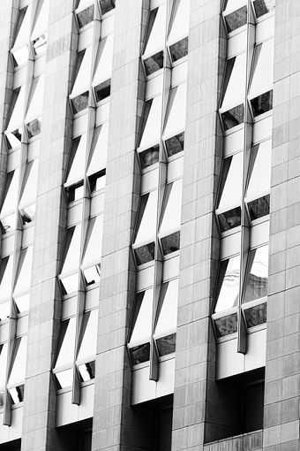 City Shapes / NYC