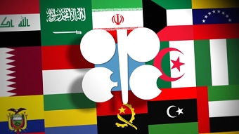 Black Gold-Doc Graphics