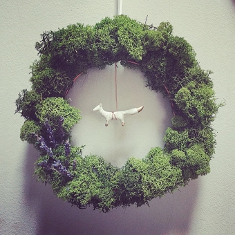 Forests