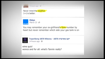 The "Statoos" experiment on Facebook