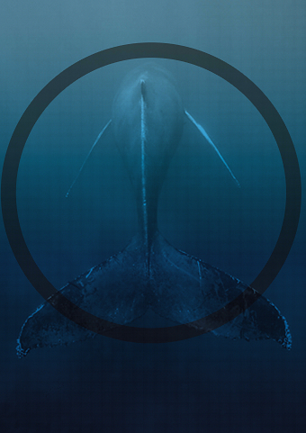 Mission: Ocean