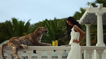 SCHWEPPES Leopard Launch